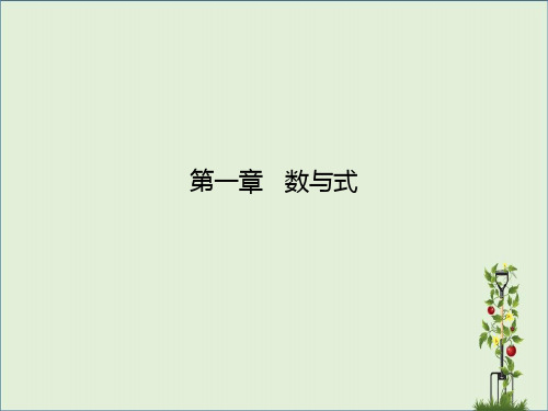 2016中考数学总复习 第一章 数与式 第5课 二次根式课件