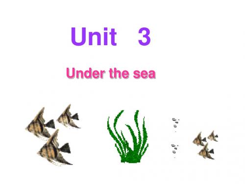 选修7unit3 under the sea  reading