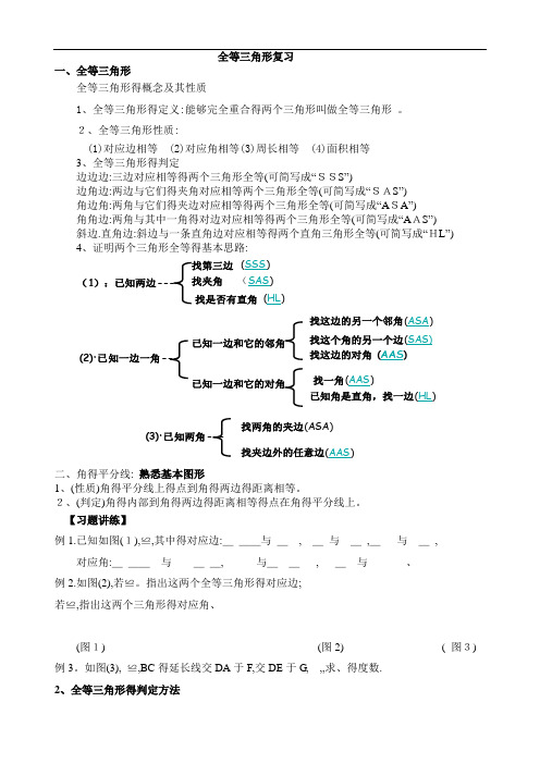 苏教版全等三角形复习教案