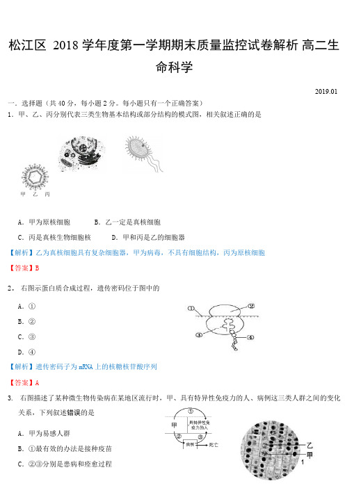 松江区 2018 学年度第一学期期末质量监控试卷解析高二命科学