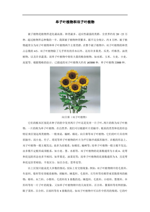 尝试对生物进行分类拓展资源-单子叶植物和双子叶植物