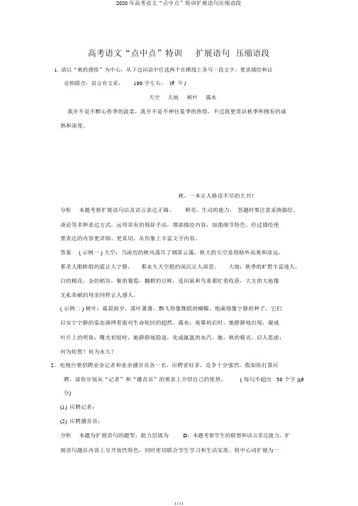 2020年高考语文“点中点”特训扩展语句压缩语段