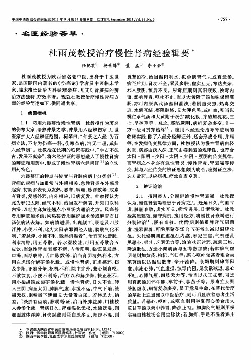 杜雨茂教授治疗慢性肾病经验辑要