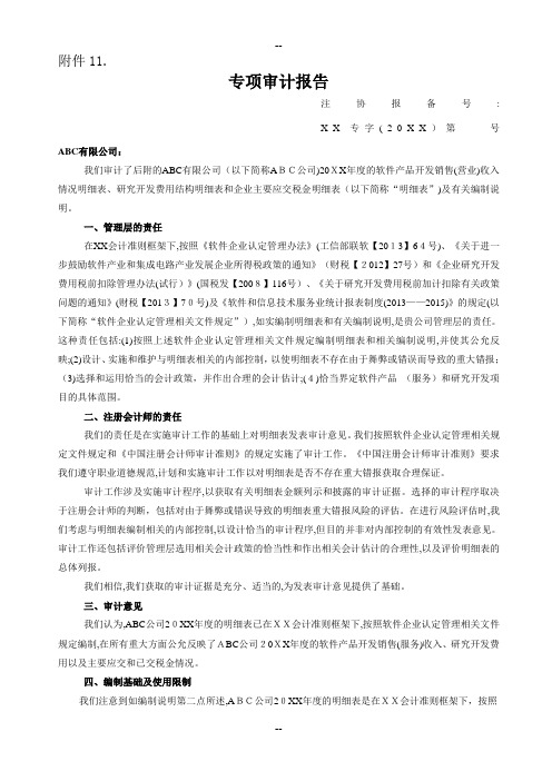 双软企业认定专项审计报告