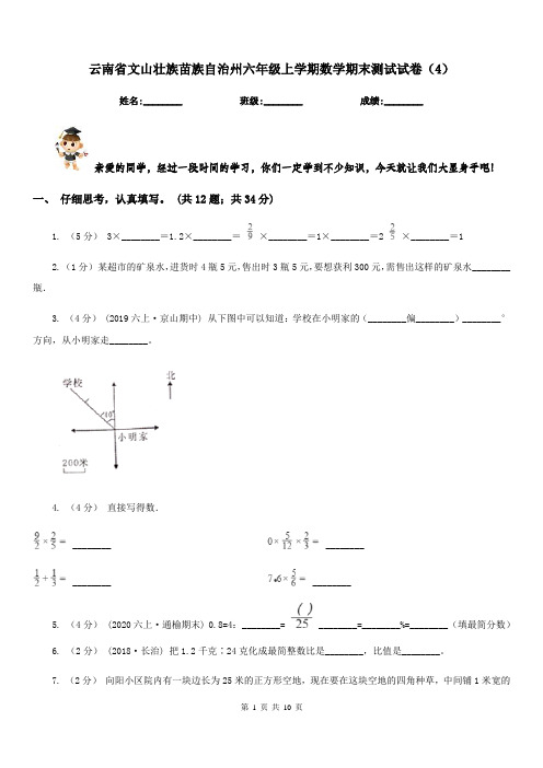 云南省文山壮族苗族自治州六年级上学期数学期末测试试卷(4)