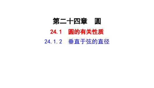 24.1.2  垂直于弦的直径  课件(共23张PPT)  人教版数学九年级上册