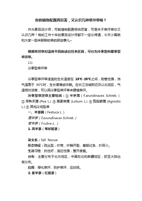 你的植物配置再厉害,又认识几种草坪草呢?