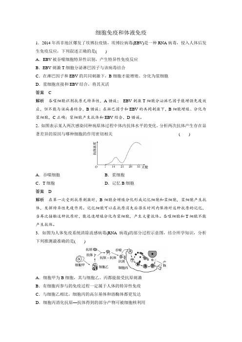 中图版 必修三 细胞免疫和体液免疫 作业 (2)