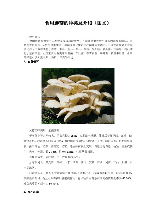 食用蘑菇的种类及图文介绍(附几种常见的食用菌的主要营养成分)