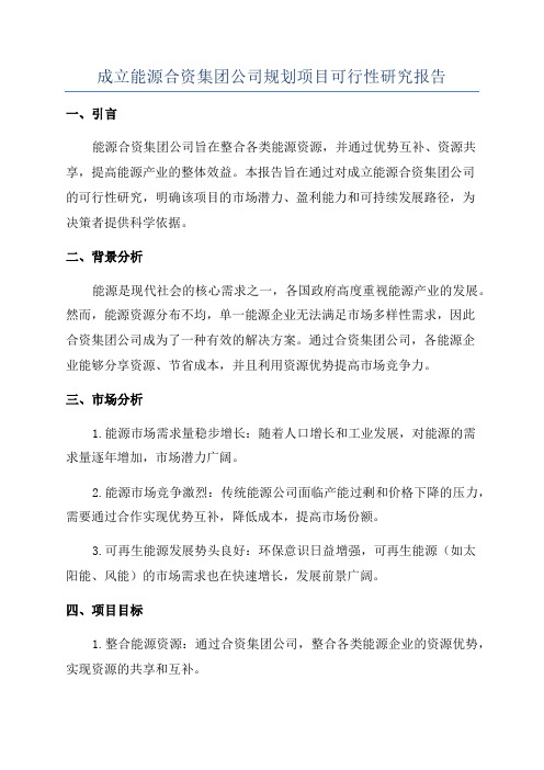 成立能源合资集团公司规划项目可行性研究报告