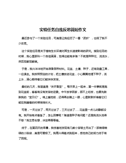 实验任务自我反思简短作文