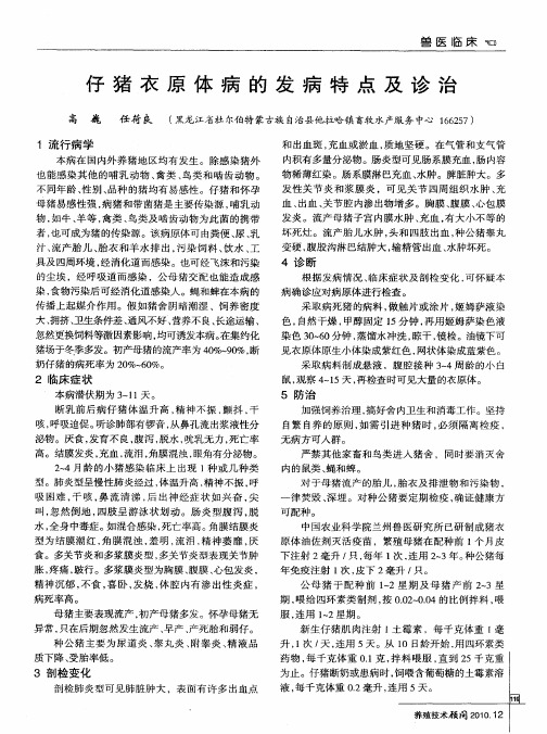 仔猪衣原体病的发病特点及诊治