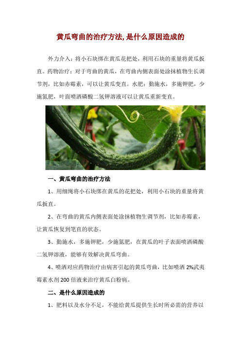 黄瓜弯曲的治疗方法,是什么原因造成的