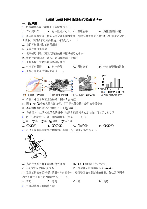 人教版八年级上册生物期末复习知识点大全