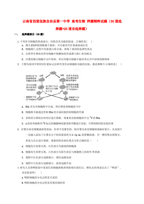 高考生物押题精粹试题30道选择题20道非选择题