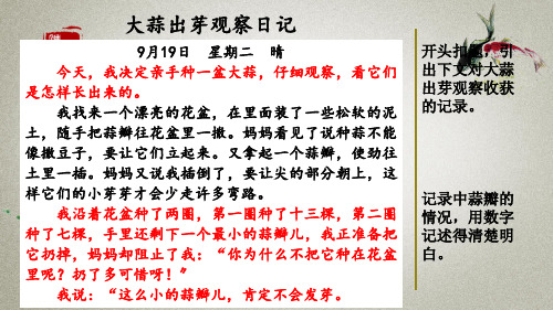 部编人教版四年级上册语文《范文2：大蒜出芽观察日记》教学课件