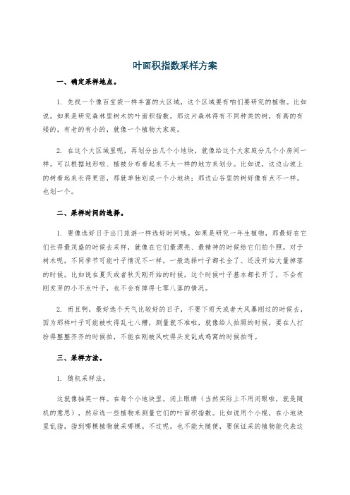 叶面积指数采样方案