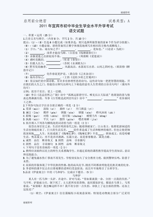 宜宾中考语文试题.doc