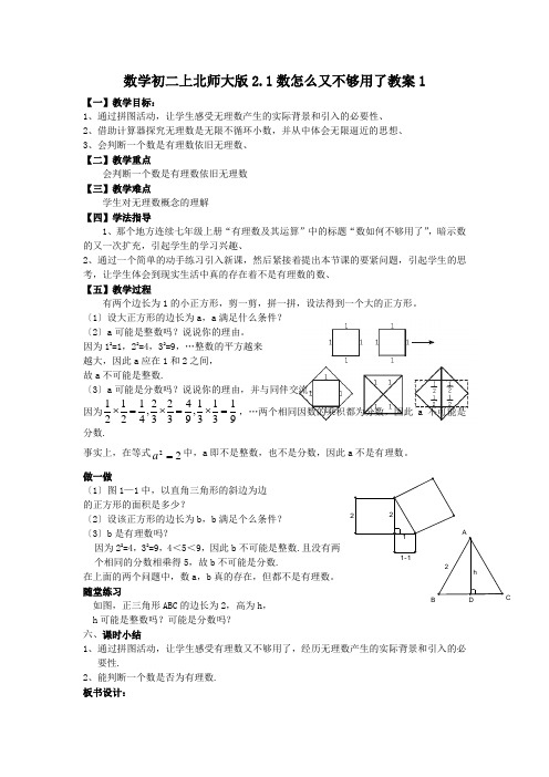 数学初二上北师大版2.1数怎么又不够用了教案1