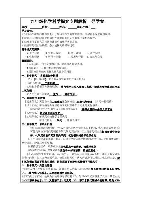 九年级化学科学探究专题解析  学案