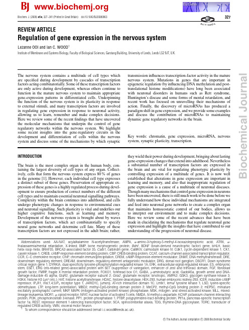 Regulation of gene expression in the nervous system