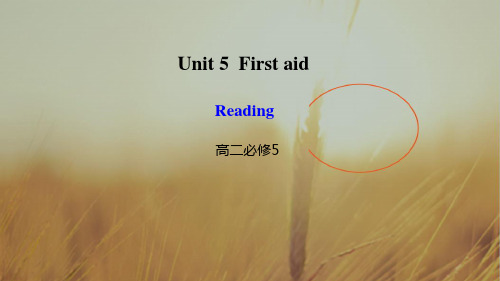 2017-2018学年高中英语必修五同步课件：Unit 5 First aid-Reading 精品