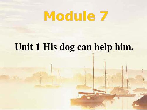 Module 7 Unit 1 His dog can help him课件