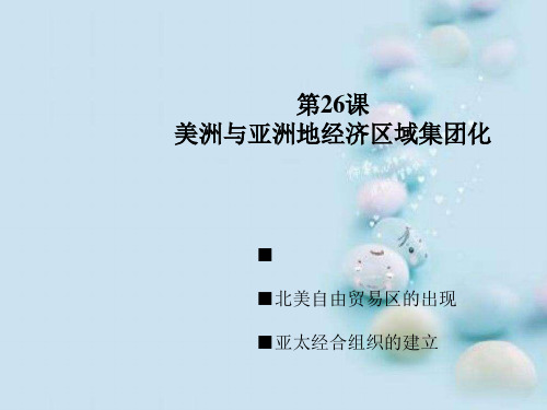 美洲与亚洲地经济区域集团化ppt 课件
