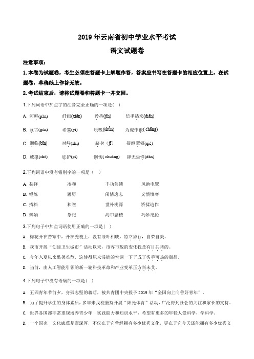 精品解析：云南省2019年中考语文试题(原卷版)