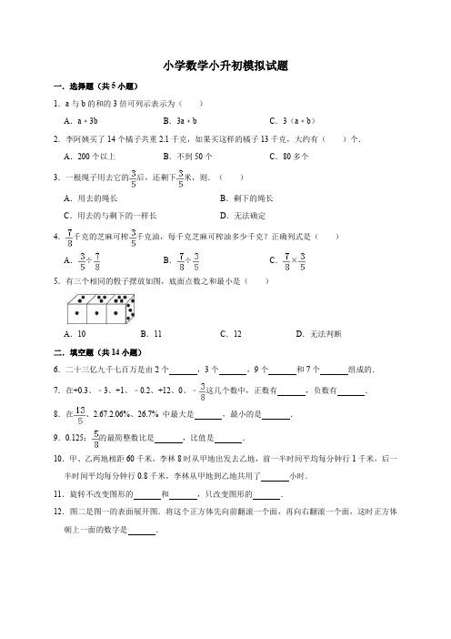 小学数学小升初模拟试题(解析版)