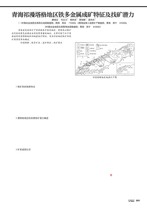 青海祁漫塔格地区铁多金属成矿特征及找矿潜力