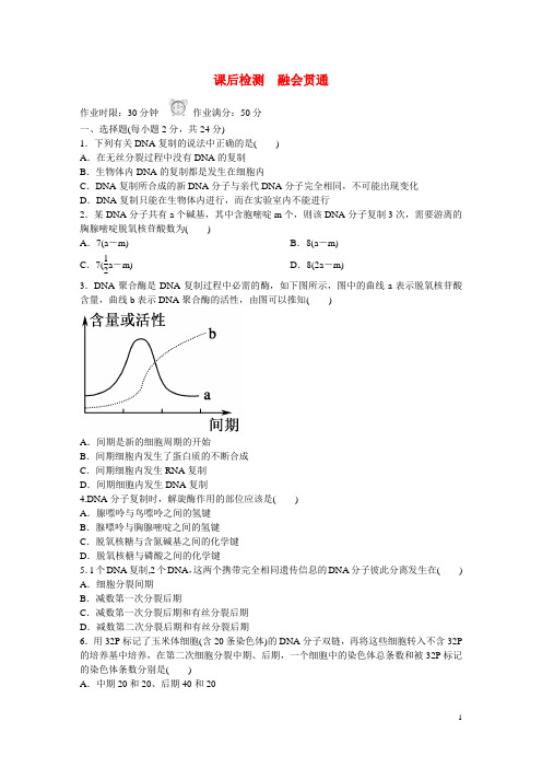 【红对勾 45分钟作业与单元评估】2014-2015学年高中生物 3-3 DNA的复制课后检测 新人教版必修2