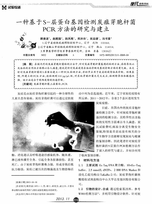 一种基于S-层蛋白基因检测炭疽芽胞杆菌PCR方法的研究与建立