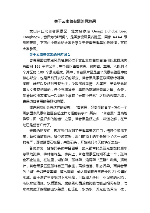 关于云南普者黑的导游词