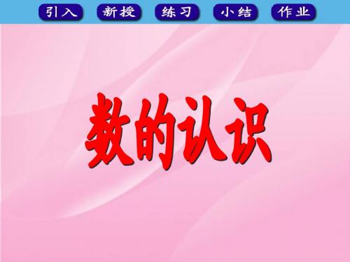 人民教育出版社六年级下册P77《数的认识》课件