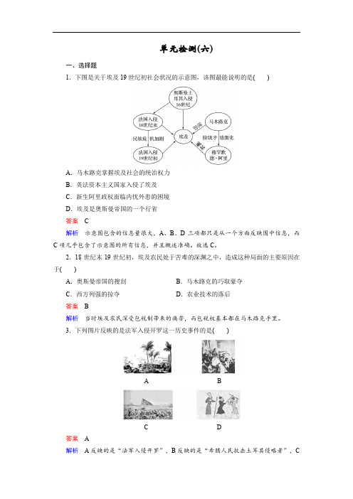 2019-2020学年高中历史人教版选修一文档：第六单元 穆罕默德 阿里改革 单元检测6 Word版含答案