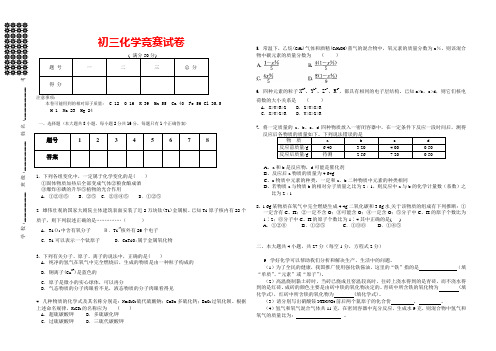 2019年初三化学竞赛试卷(含答案)