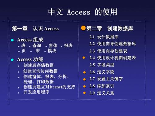 中文ACCESS使用教程