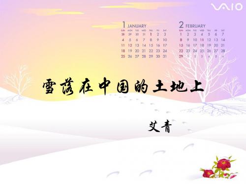 雪落在中国的土地上ppt14