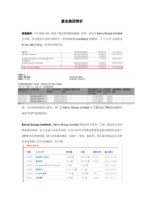 嘉里集团简析