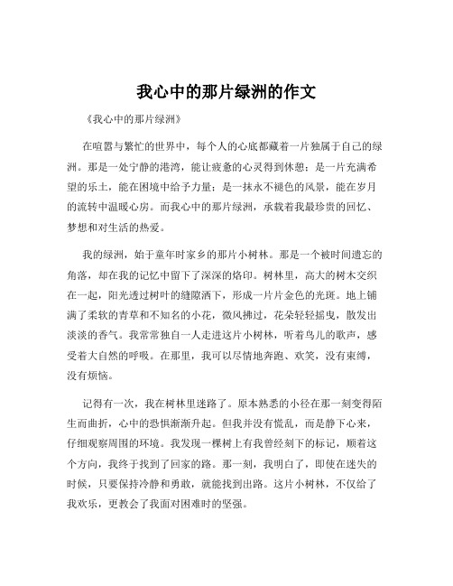 我心中的那片绿洲的作文