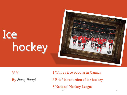 IcehockeyPPT课件