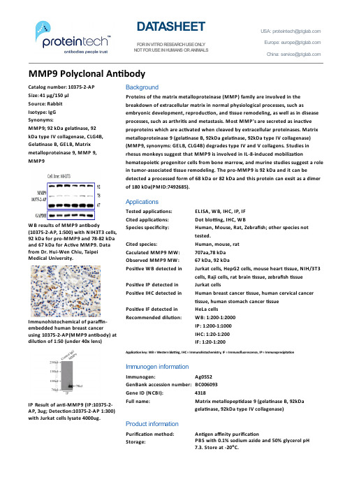 MMP9抗体说明书