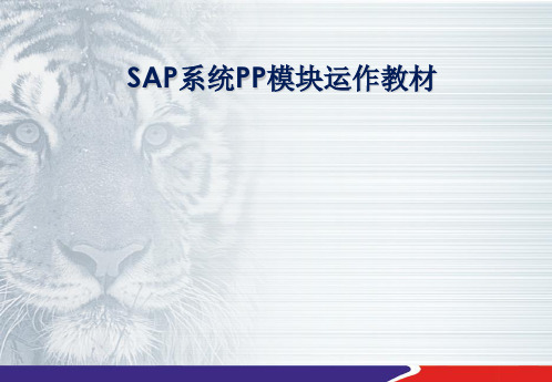 SAP-PP模块培训教材ppt课件