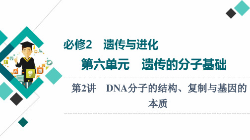 高考一轮复习人教版DNA分子的结构复制与基因的本质课件