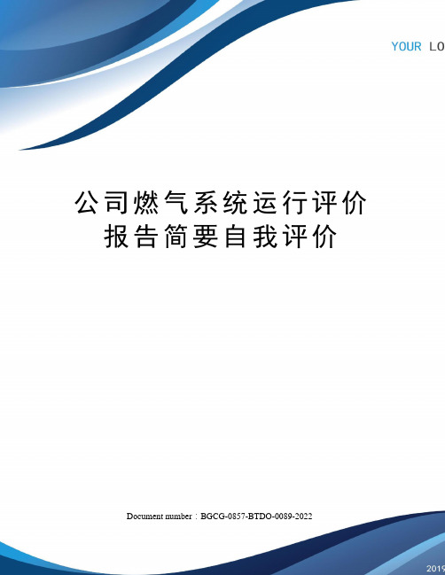 公司燃气系统运行评价报告简要自我评价