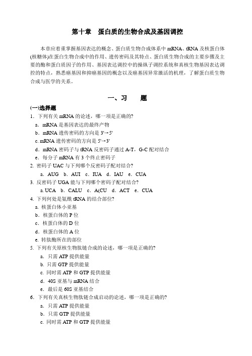 10  第十章  蛋白质的生物合成及基因调控 华中农业大学微生物考研生物化学