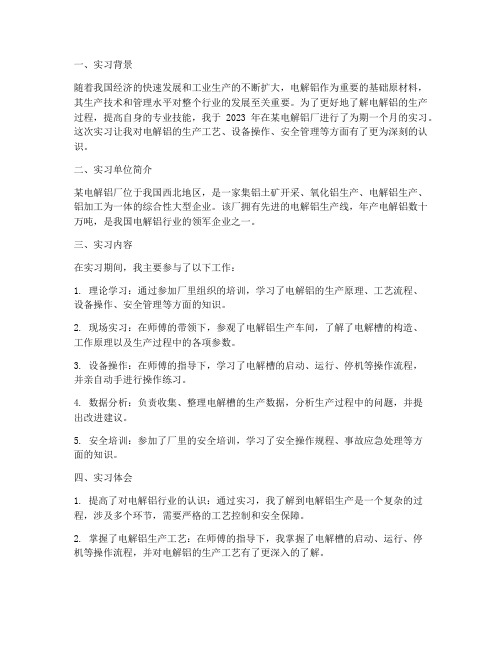 电解工的实习报告