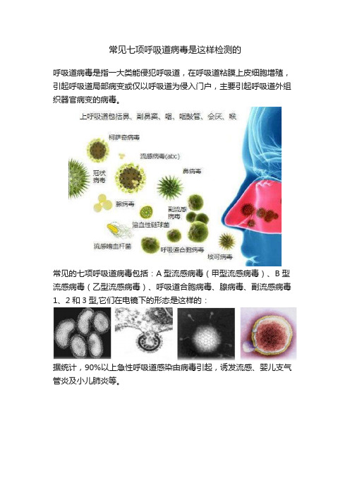 常见七项呼吸道病毒是这样检测的