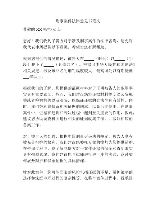 刑事案件法律意见书范文